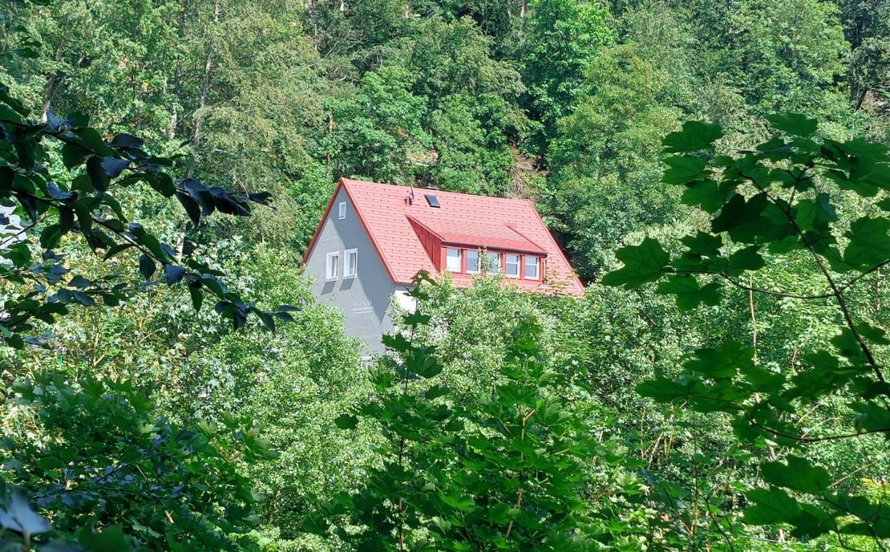 Ferienwohnung Am Quellenhaeuschen Naila Exterior foto